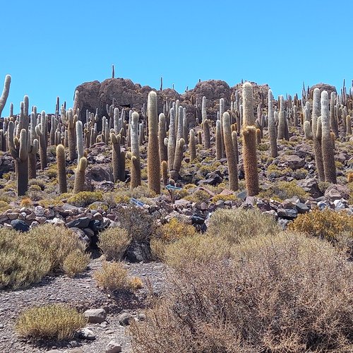 Souvenir du voyage de Jean Pierre, Bolivie
