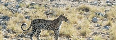 Souvenir du voyage de Eric, Namibie