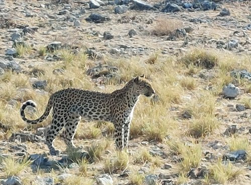Souvenir du voyage de Eric, Namibie