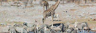 Souvenir du voyage de Eric, Namibie