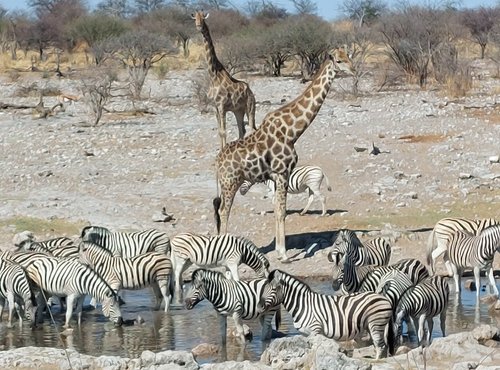 Souvenir du voyage de Eric, Namibie