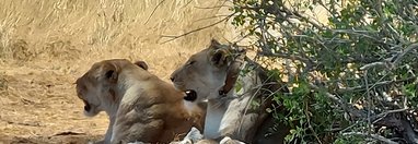 Souvenir du voyage de Eric, Namibie