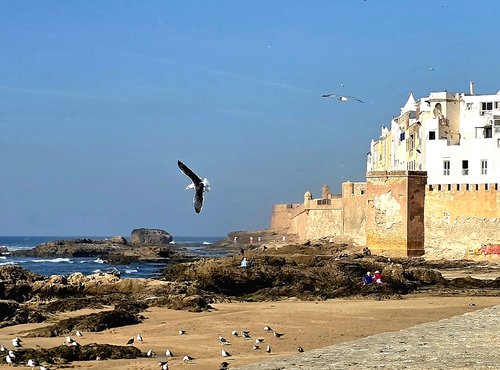 Souvenir du voyage de Lea, Maroc