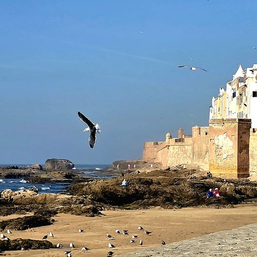 Souvenir du voyage de Lea, Maroc