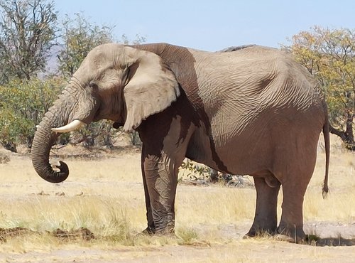 Souvenir du voyage de Eric, Namibie
