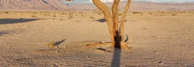 Souvenir du voyage de Eric, Namibie