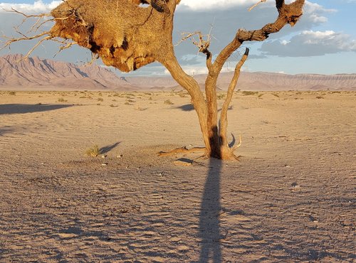 Souvenir du voyage de Eric, Namibie