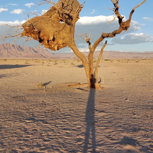 Souvenir du voyage de Eric, Namibie