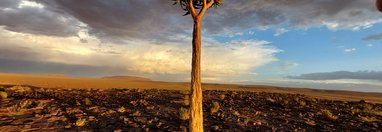 Souvenir du voyage de Eric, Namibie
