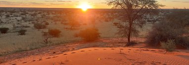 Souvenir du voyage de Eric, Namibie