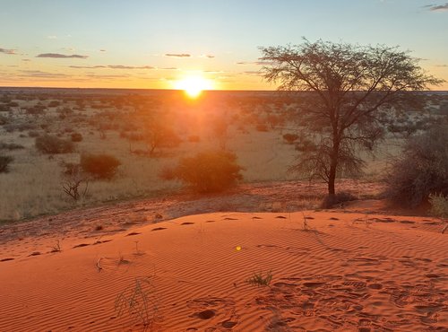 Souvenir du voyage de Eric, Namibie