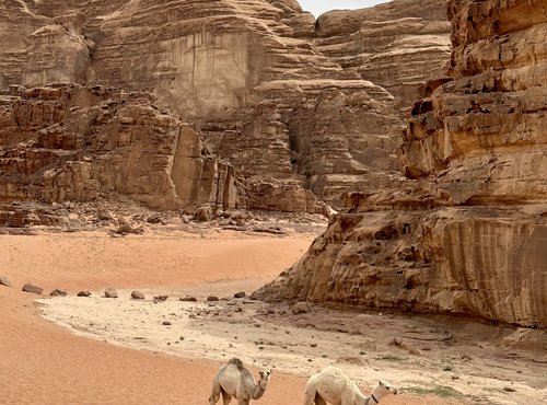 Souvenir du voyage de Erik, Jordanie