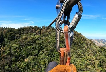 Ziplining dans la forêt nuageuse de Monteverde, Costa Rica