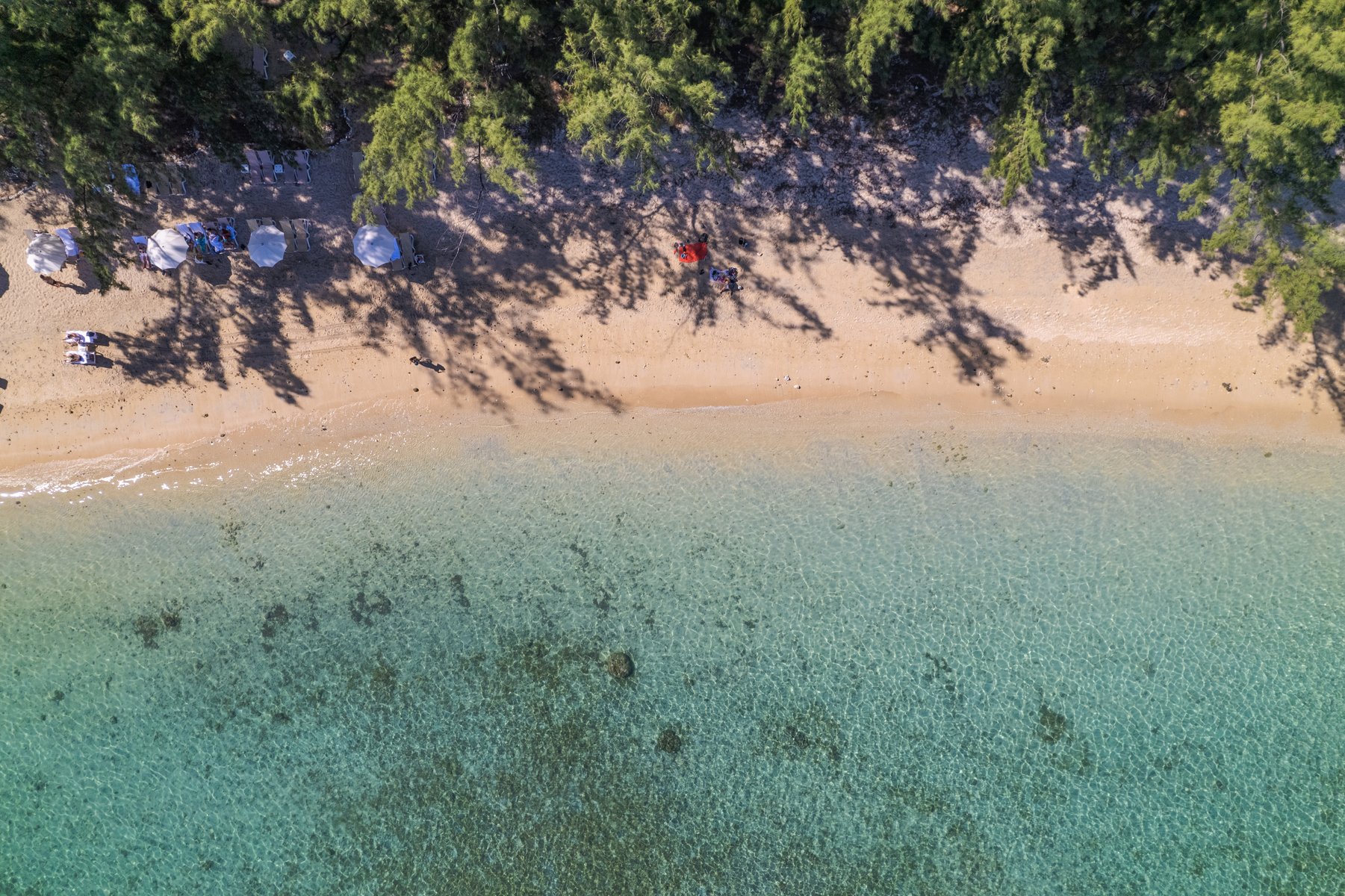 Plage de l'Hermitage, Saint Gilles les Bains, La Saline  Ile de la Réunion