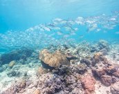 Dimakya Island, Palawan.