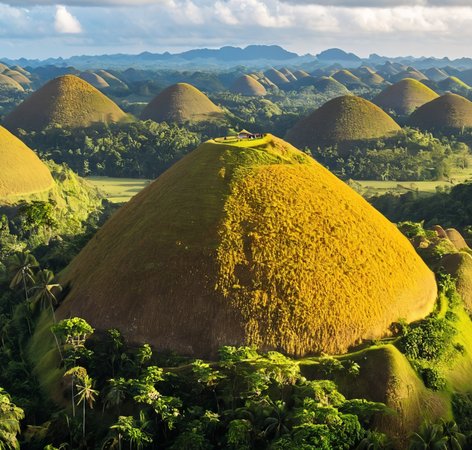 Collines de chocolat, île de Bohol, Philippines