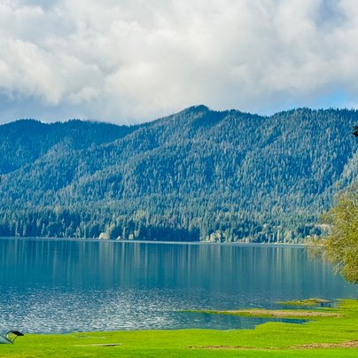 Lake Quinault, Péninsule olympique, Washington, États Unis