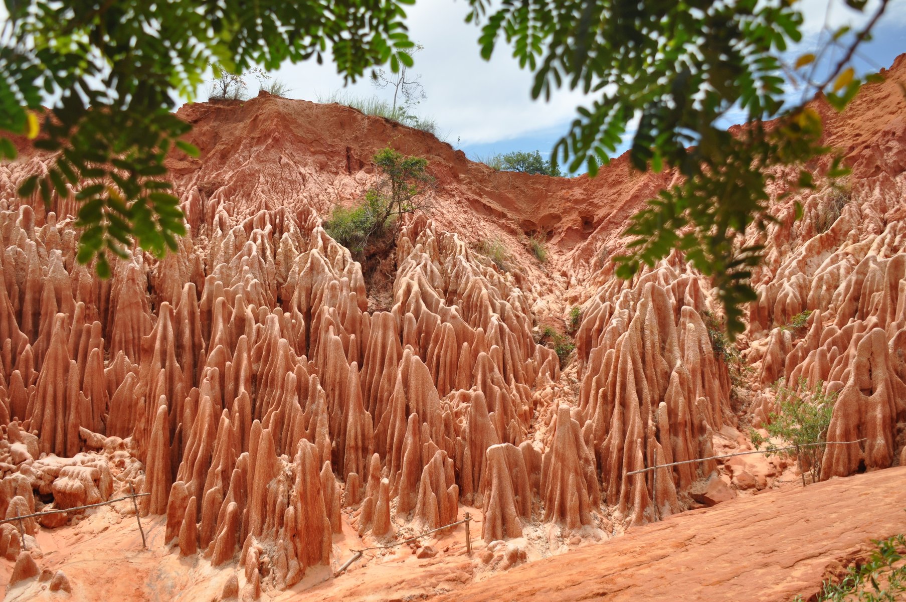 Parc Tsingy Rouge dans le nord de Madagascar