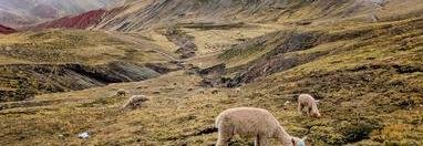 Souvenir du voyage de Isabelle, Pérou