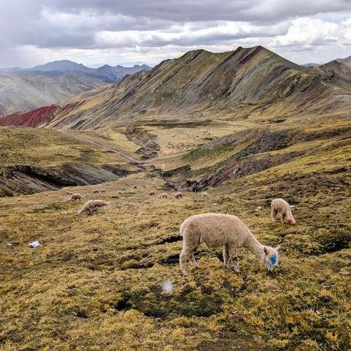 Souvenir du voyage de Isabelle, Pérou