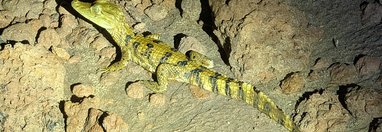 Souvenir du voyage de Isabelle, Pérou