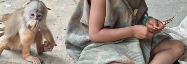 Souvenir du voyage de Isabelle, Pérou