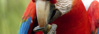 Souvenir du voyage de Isabelle, Pérou