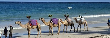 Souvenir du voyage de Olivier, Kenya