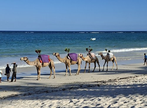Souvenir du voyage de Olivier, Kenya