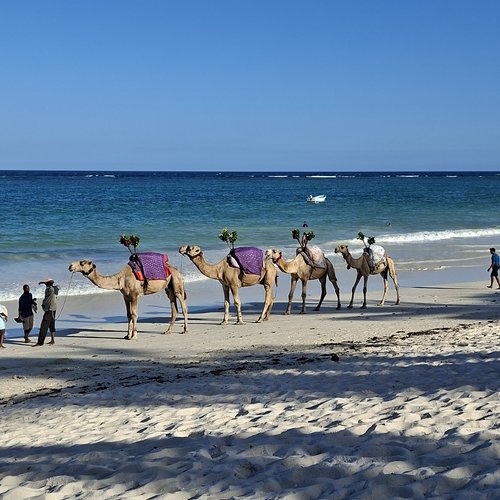 Souvenir du voyage de Olivier, Kenya