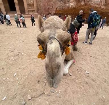 Souvenir du voyage de Frédéric, Jordanie