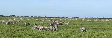 Souvenir du voyage de Ines, Tanzanie