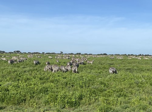 Souvenir du voyage de Ines, Tanzanie