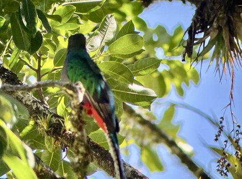 Souvenir du voyage de Catherine, Costa Rica