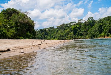 Misahualli dans l'Amazonie en Equateur