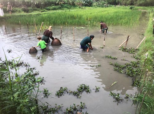 Souvenir du voyage de Justine, Vietnam