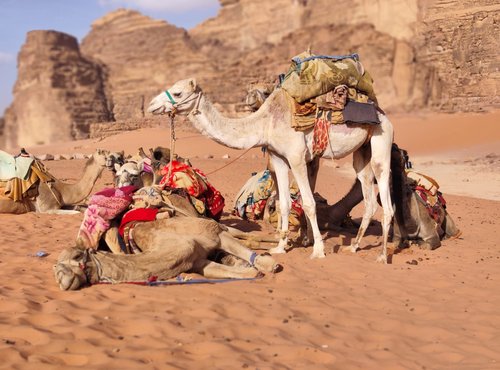 Souvenir du voyage de Celine, Jordanie