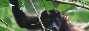 Souvenir du voyage de Catherine, Costa Rica