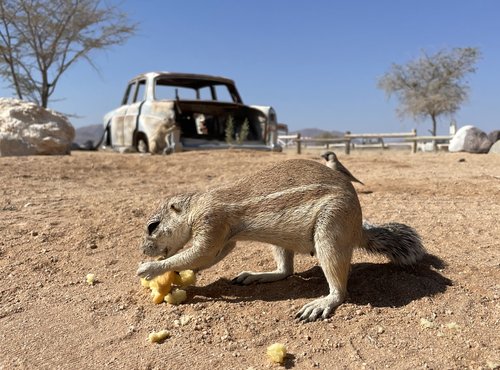 Souvenir du voyage de Fabien, Namibie