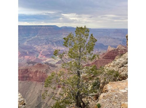 Souvenir du voyage de Cécile, Etats Unis