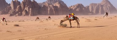 Souvenir du voyage de Celine, Jordanie