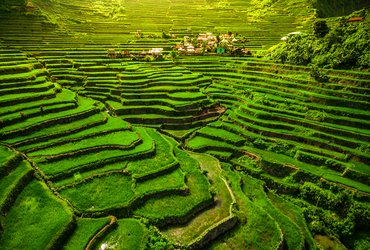 Terrasses de riz Ifugao, à Batad, dans le nord de Luzon, aux Philippines.