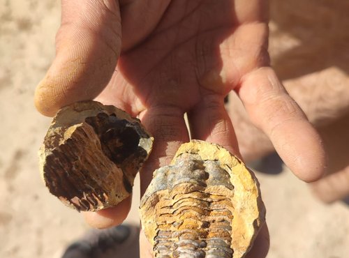 Souvenir du voyage de Corinne, Maroc