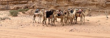 Souvenir du voyage de Erik, Jordanie