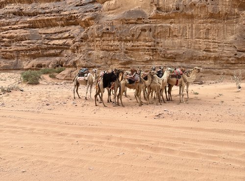 Souvenir du voyage de Erik, Jordanie