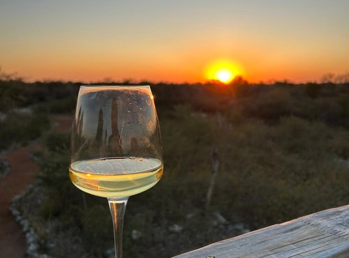 Souvenir du voyage de Marion, Namibie