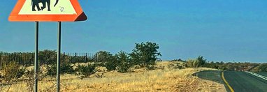 Souvenir du voyage de Fabien, Namibie