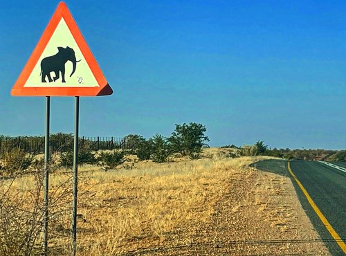 Souvenir du voyage de Fabien, Namibie