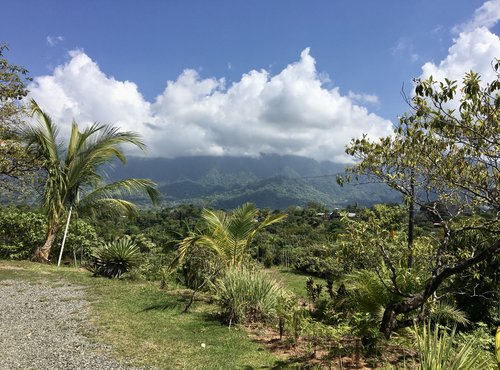 Souvenir du voyage de Catherine, Costa Rica