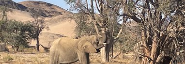 Souvenir du voyage de Fabien, Namibie